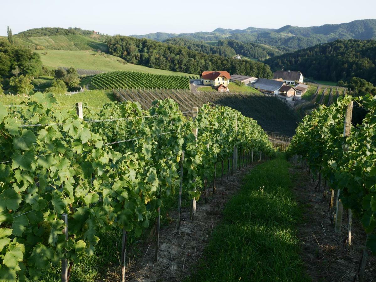 Holiday Home Winzerhaus Eva Spicnik Ngoại thất bức ảnh