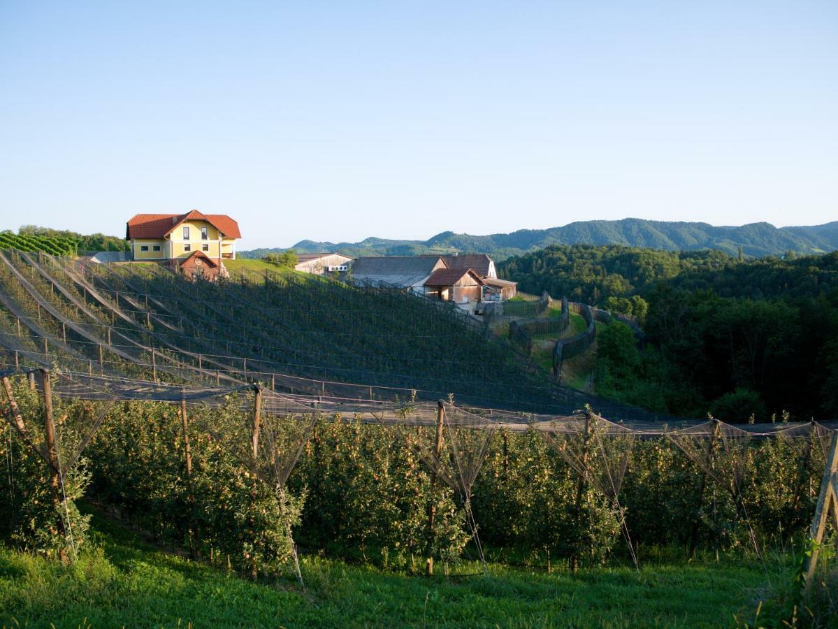 Holiday Home Winzerhaus Eva Spicnik Ngoại thất bức ảnh